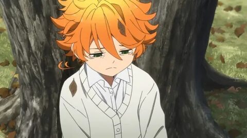 Обещанный Неверленд (2019)