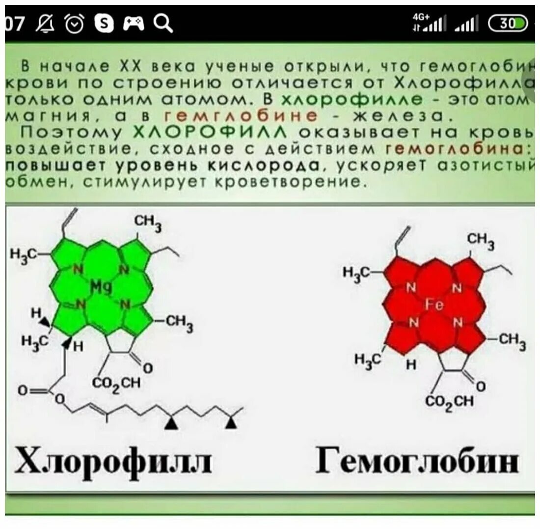 Ионы железа входят в состав гемоглобина крови. Гемоглобин и хлорофилл структура. Строение гемоглобина и хлорофилла. Формула гемоглобина и хлорофилла. Хлорофилл c1.