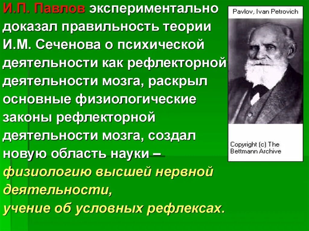 Теория и п павлова. И П Павлов. И П Павлов достижения. И П Павлов психология.