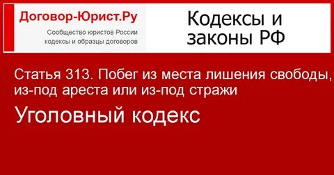 Ст 313