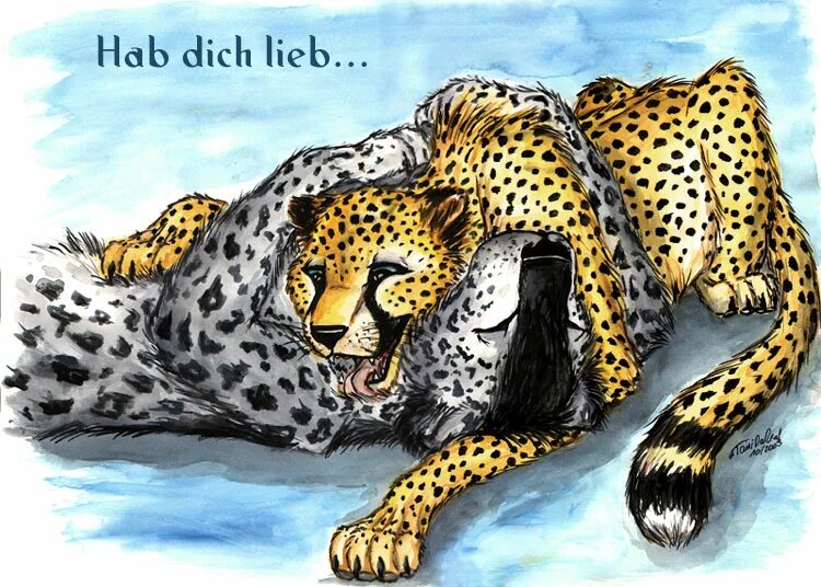 сампо коски и гепард. гепард аниме.