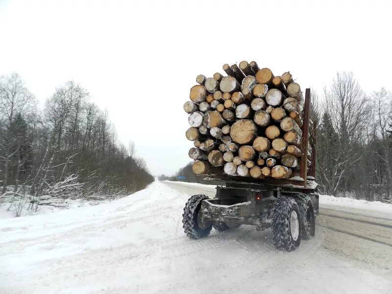 Лесовоз ГАЗ 131 С дровами. Тром 20 лесовоз. КАМАЗ дрова 20 кубов. Машина с бревнами.