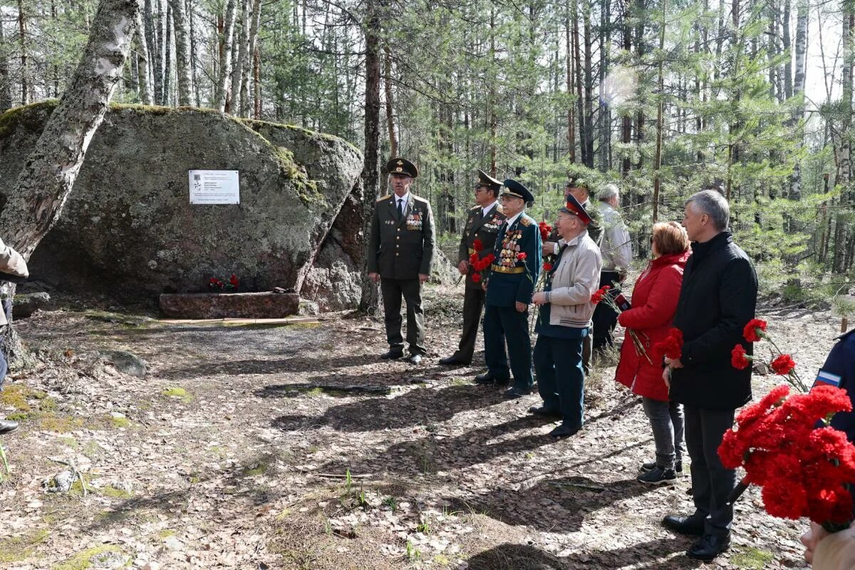 Стрелково ленинградская область. Стрелково ленинградская область. М. Деревня стрелково моск обл. М.