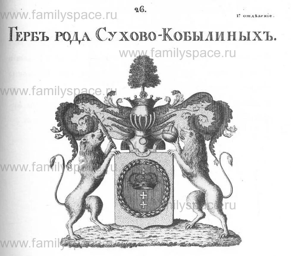 Дворянин том 2. Молодой салтыков-щедрин михаил евграфович. Дворянин с книгой. Родословная книга дворянская. Гербовый зал зимнего дворца.