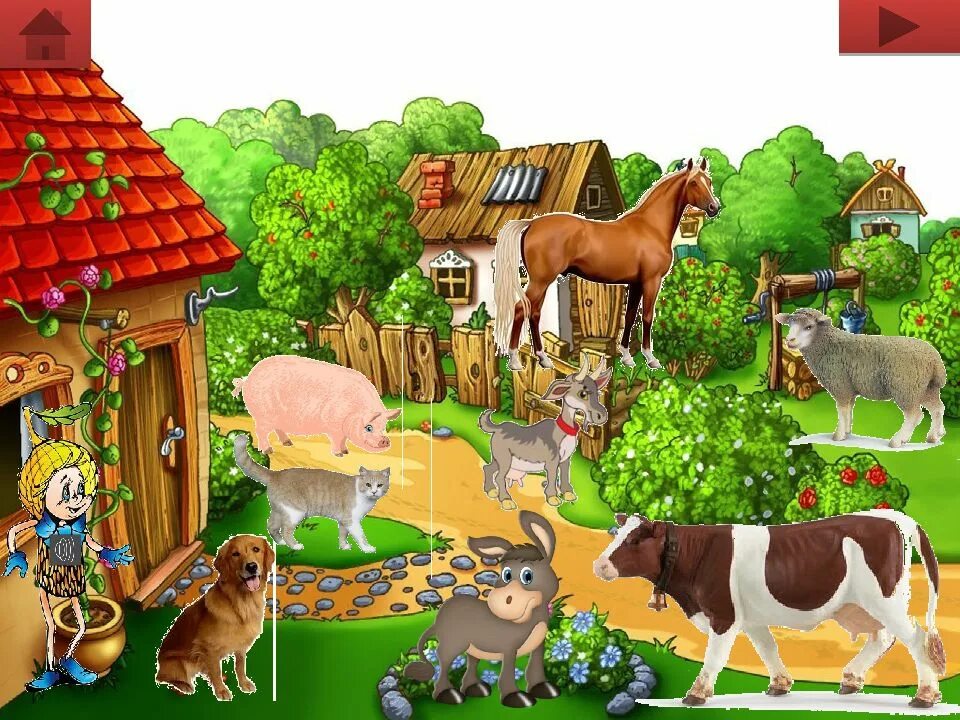 Игра в мире животных. Дидактическая игра мир животных. дидактические игры животный мир. игра домашние и дикие.