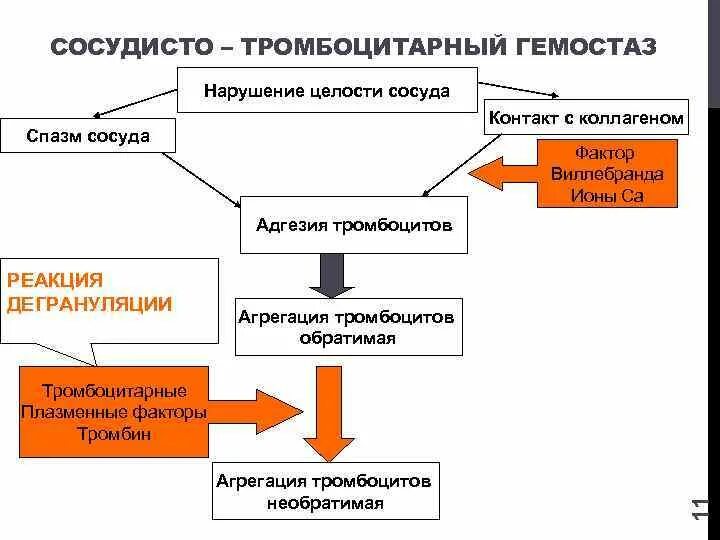 Патофизиология гемостаза