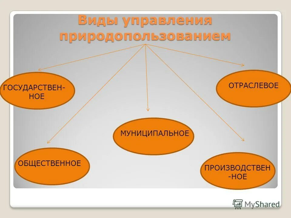 Виды управление страной. Виды государственного управления природопользования отраслевое. Отраслевое управление природопользованием.