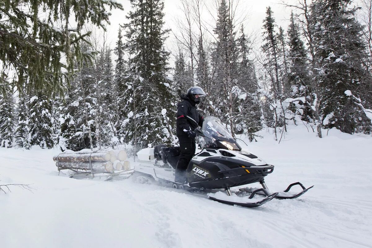 Снегоход aodes siberia cross. Снегоход линкс арми 600. lynx adventure lx 600 ace. lynx 300 снегоход. снегоход брутал брп линкс.