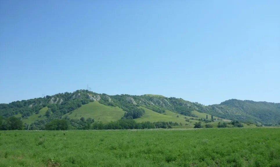 Первая синюха лабинский краснодарский край. Заказник красный лес Краснодарский край. Лабинское лесничество Краснодарский край. Лабинский заказник Краснодарского. Красный лес Краснодарский край Красноармейский район.