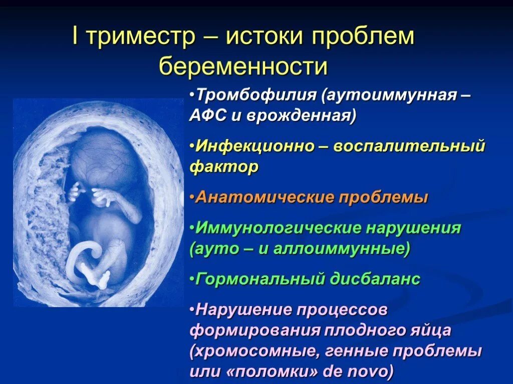 Форум беременных 1 триместр. Беременность 1 триместр эмбрион. Замирание плода симптомы. Замершая беременность признаки. Плод при замершей беременности.