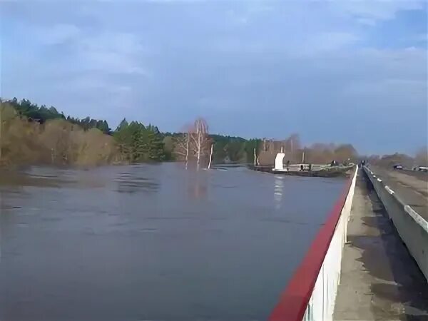 Уровень воды в мокше на сегодня. Река Мокша Теньгушево. Мокша Сасовский мост. Судоходство на реке Мокша. Мокша в Сасовском районе.
