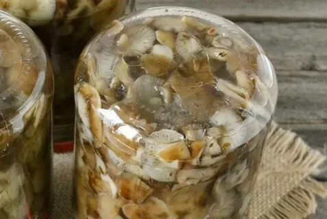 Грибы жареные на зиму в банках рецепты