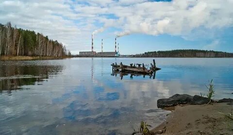 Рефтинский рыбхоз свердловская область