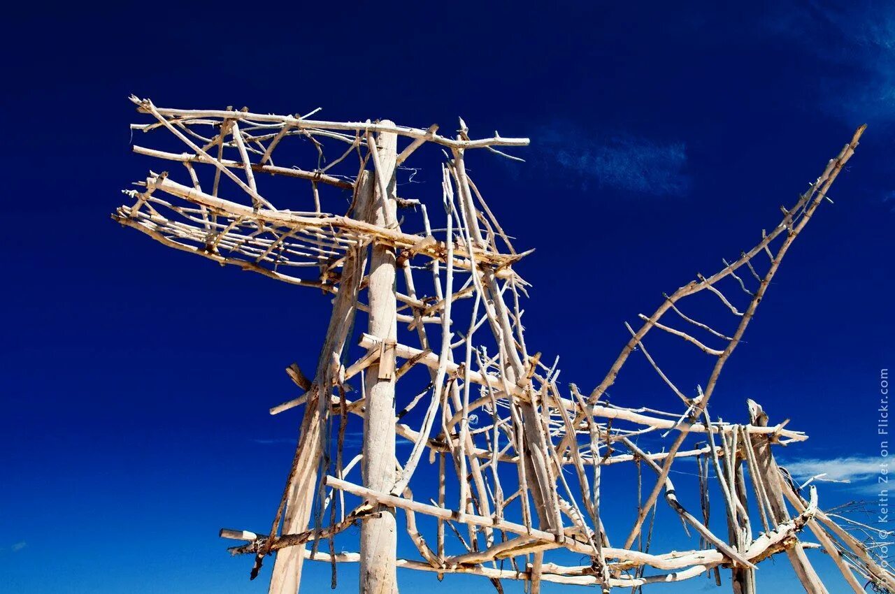 Тайбола. Тайбола 2024. Тайбола 2019. Тайбола фото. Тайбола.