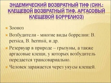 Клещевой возвратный тиф