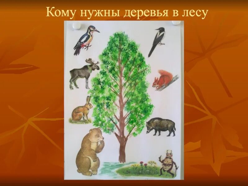 Кто живет на дереве. Кому нужны деревья в лесу. Этажи леса для дошкольников. Деревья леса для дошкольников. Модель этажи леса для дошкольников.