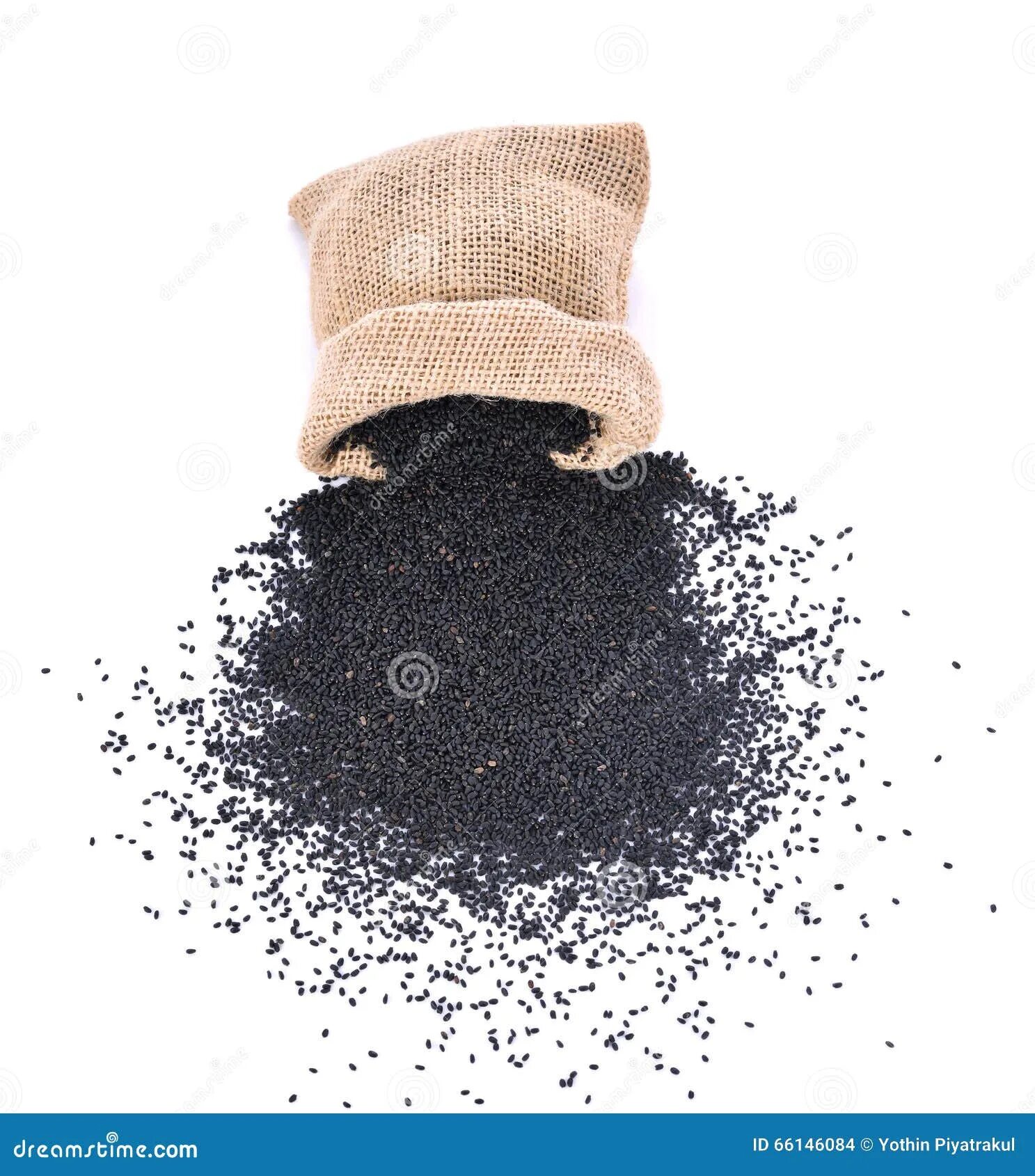 Мешочки с порохом на мине. Когда то так называли мешочки с порохом. Когда то так называли мешочки с порохом. Когда то так называли мешочки с порохом. Когда то так называли мешочки с порохом.