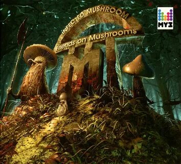 3 the mushrooms to gather yesterday