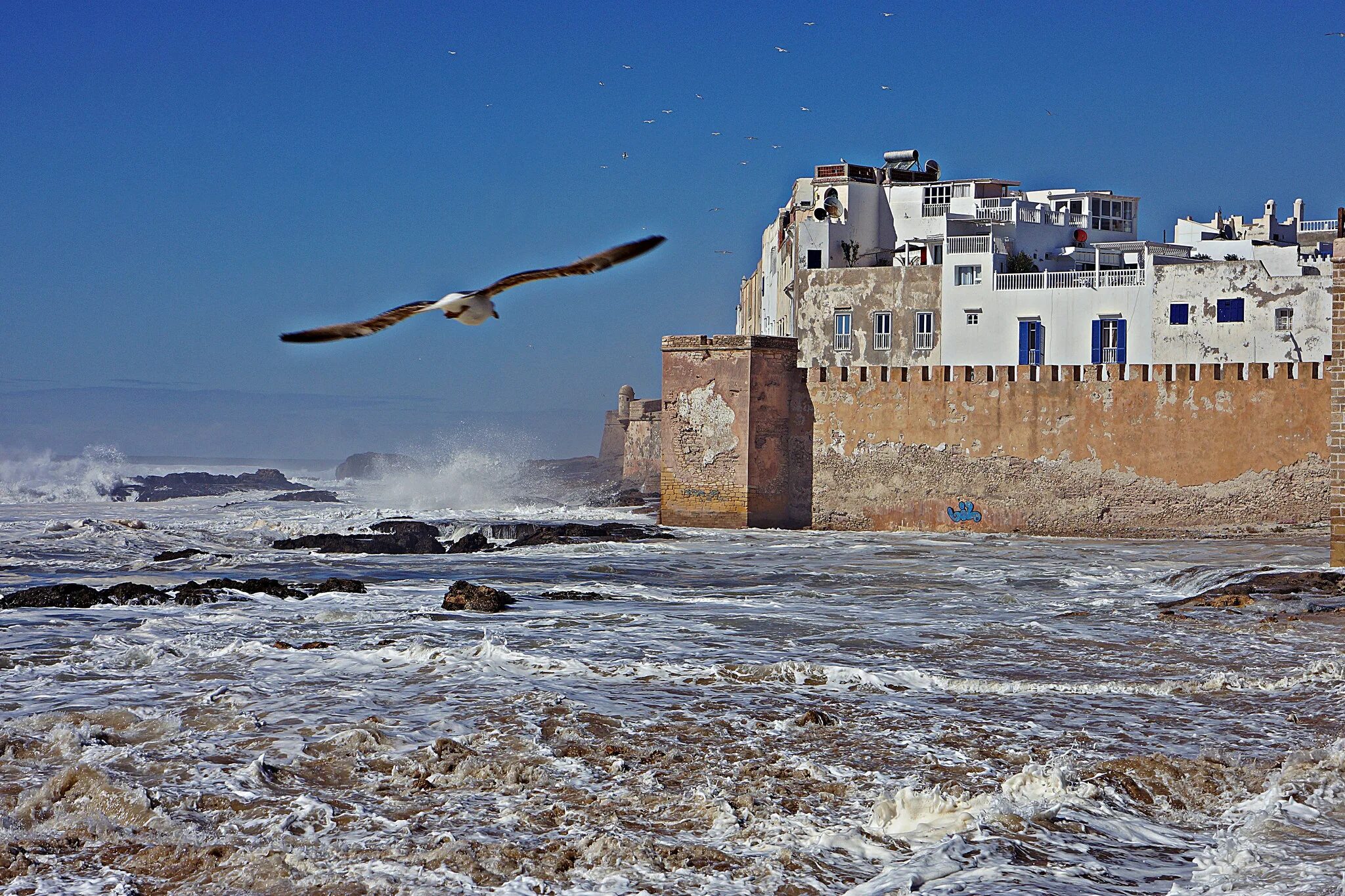 Марокко погода сейчас. Essaouira Марокко. ЭС-Сувейра Марокко. Эссаурия Марокко. Эссуэйра Марокко пляжи.