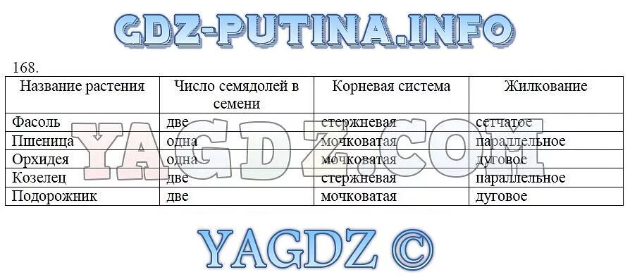Докаева Анастасия Сергеевна