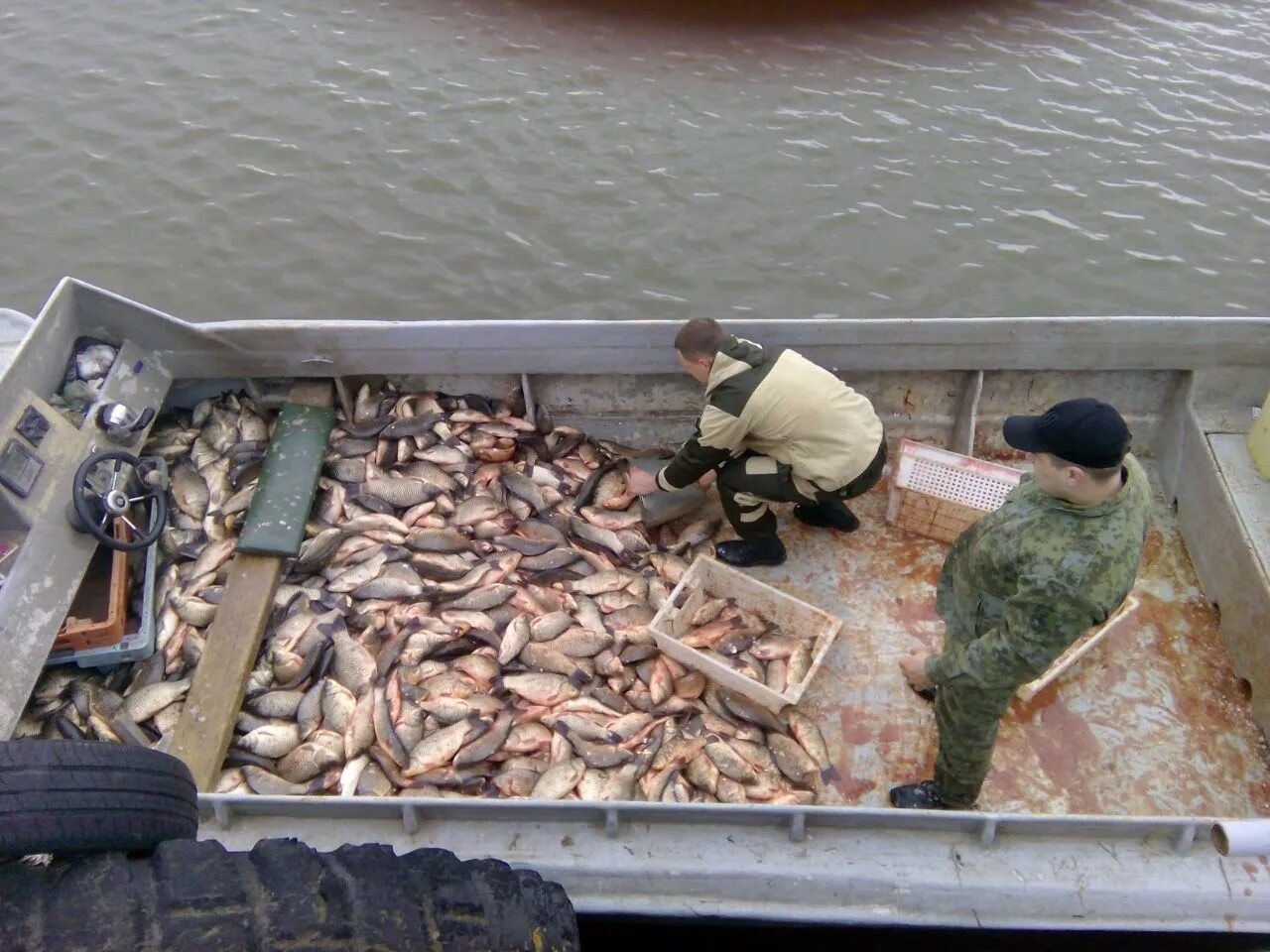 Браконьерство рыбы. Браконьерство рыба в море.