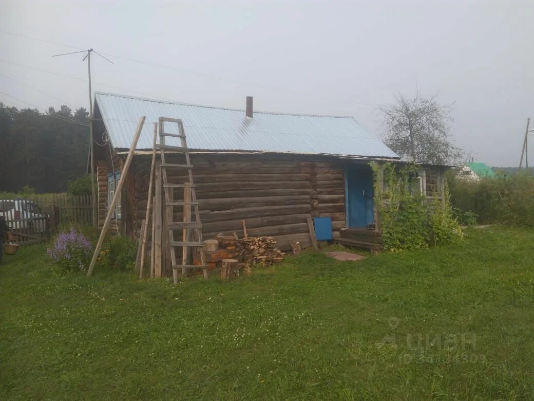 Погода пушкарево