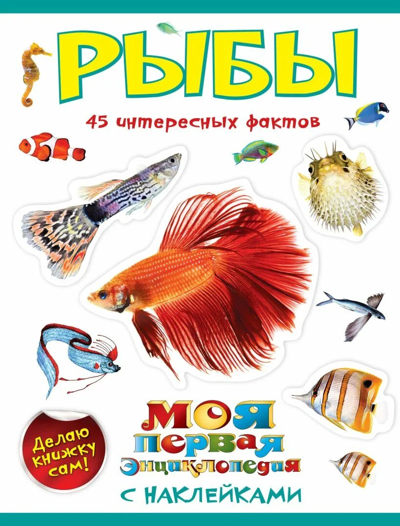 Книги про рыб. Книги про рыб для детей. Энциклопедия рыб. Энциклопедия про рыб для детей. Детская энциклопедия про рыб.