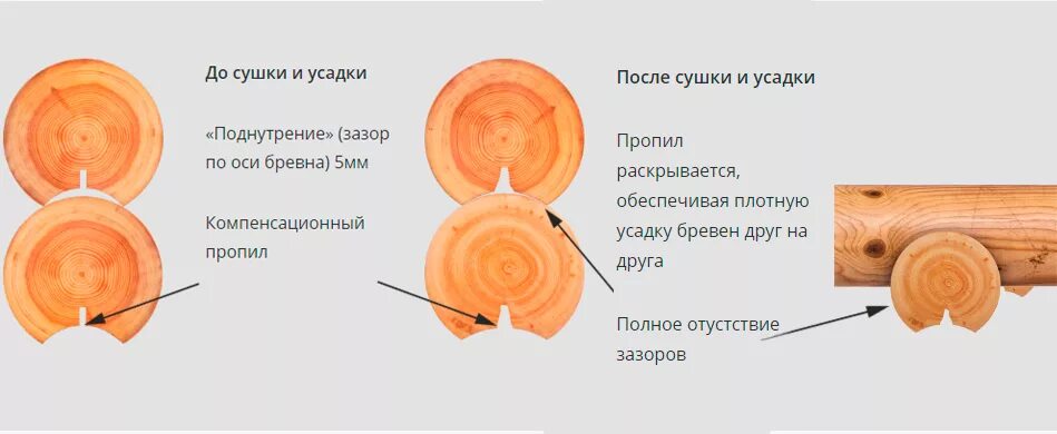 Усушка древесины. Сушка бревен. Усадка древесины. Усушка бревна.