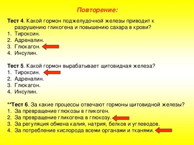 Гормоны инсулин и глюкагон. Гормон поджелудочной железы инсулин. Тироксин и глюкагон. Тироксин инсулин адреналин. Инсулин и гормон роста