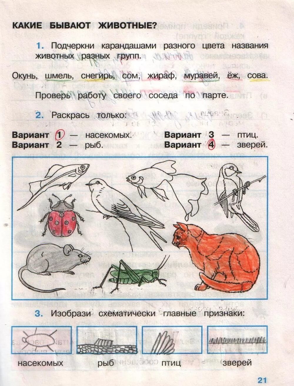 Включи по окружающему миру 2 класс. Плешаков окружающий мир 2 класс задания. Окружающий мир 2 класс рабочая тетрадь 1 часть Плешаков ответы стр 43. Окружающий мир 1 класс рабочая тетрадь 2 часть задания. Окружающий мир 2 класс рабочая тетрадь 1 часть ответы.