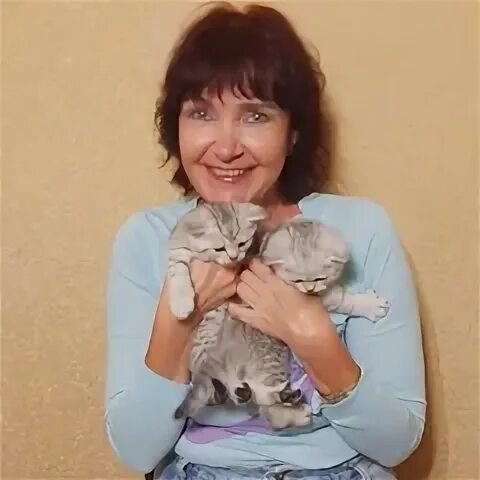 Толмачева 5. Толмачева 5