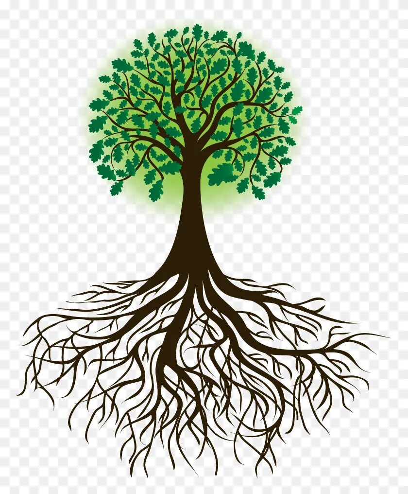 Tree to tree