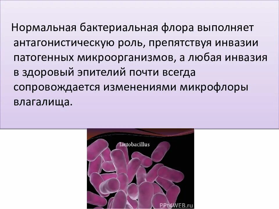 Состояние микрофлоры. Микрофлора половых путей. Нормальная микрофлора влагалища. Патогенная микрофлора влагалища. Микроорганизмы нормальной микрофлоры влагалища.