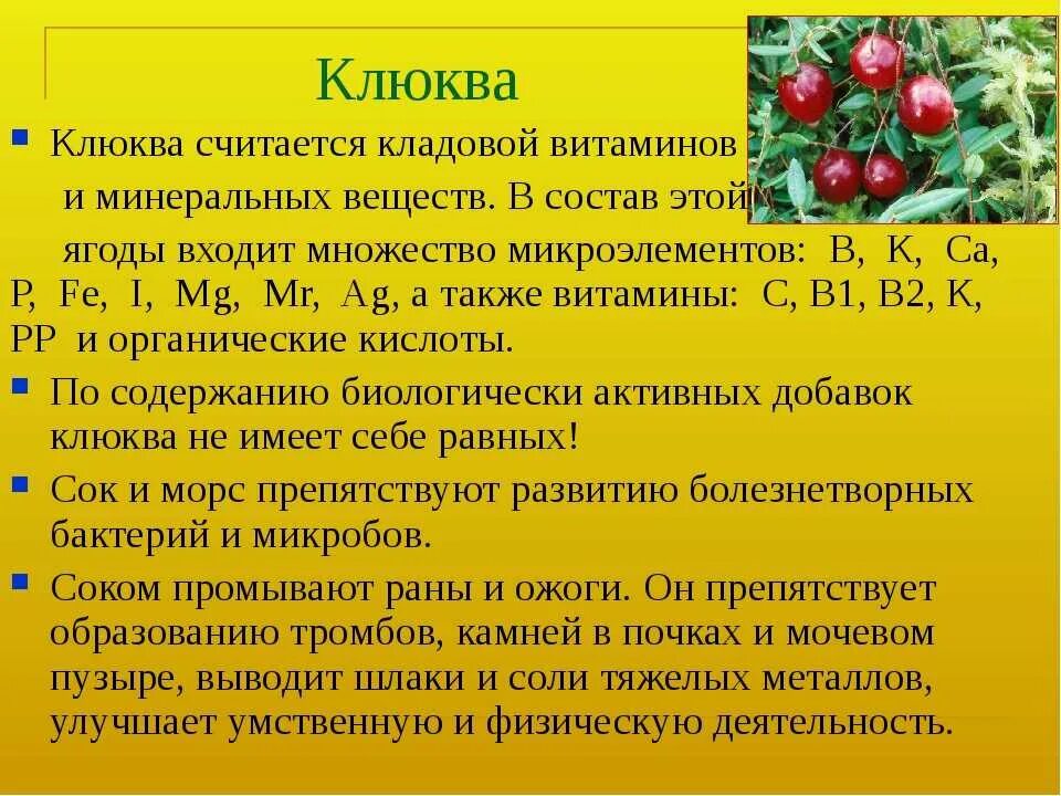 Клюква значение слова. Чем полезна клюква. витамины содержащиеся в клюкве. клюква полезные свойства. какими витаминами богата клюква.