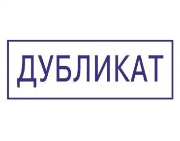 Государственный дубликат