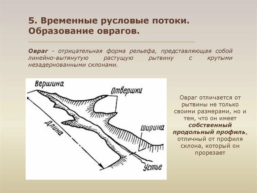 Что является причиной образования оврагов. Образование оврагов. Этапы образования оврага. Овраг схема. Стадии формирования оврага.