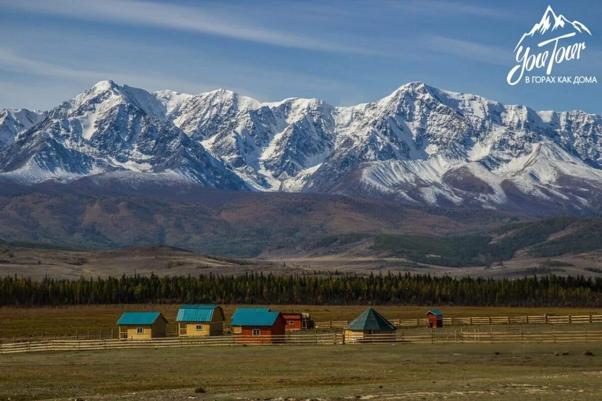 Село курай