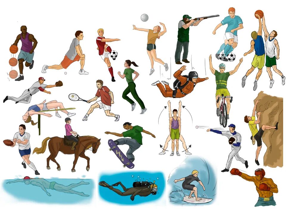 Places to do sport. Sport English Vocabulary. Sports verbs. Sportswear Vocabulary. Sport verbs Vocabulary.