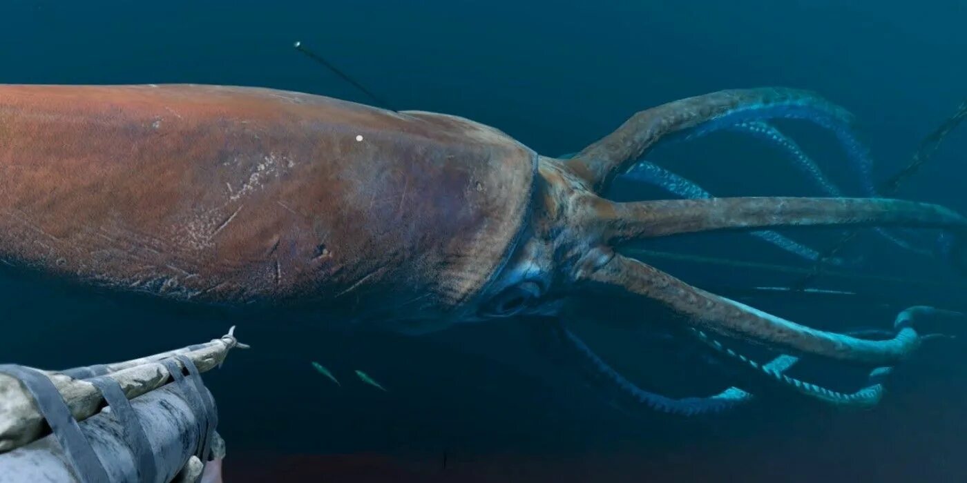 Существуют ли морские. Антарктический гигантский кальмар. Architeuthis Dux гигантские кальмары. Гигантский кальмар (Архитеутис) Кракен.