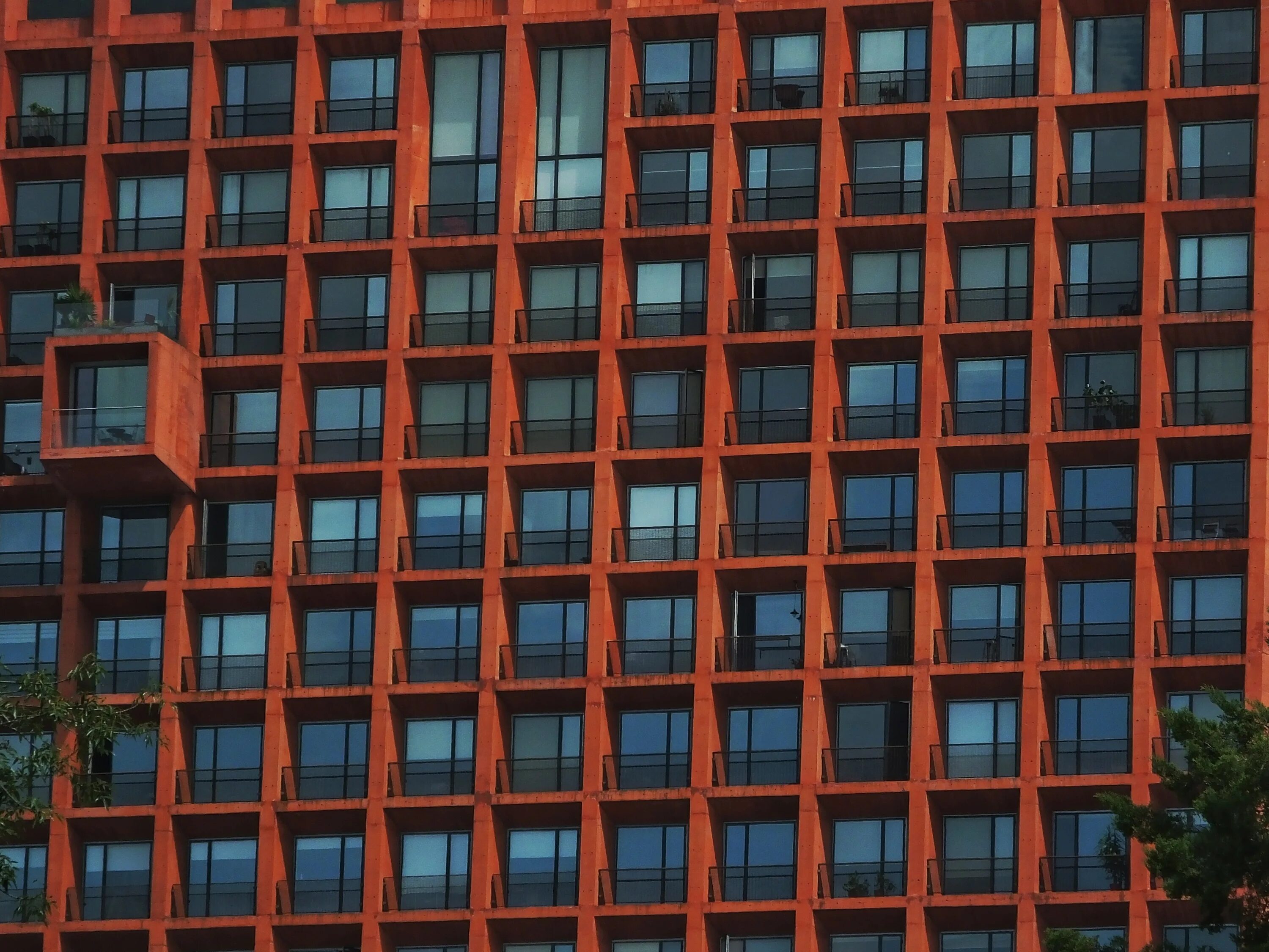 Build window