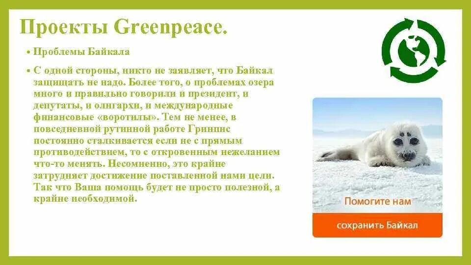 Экологические организации рф. Гринпис международные экологические организации. Greenpeace проекты. Гринпис проекты организации. Проекты Гринпис в России.