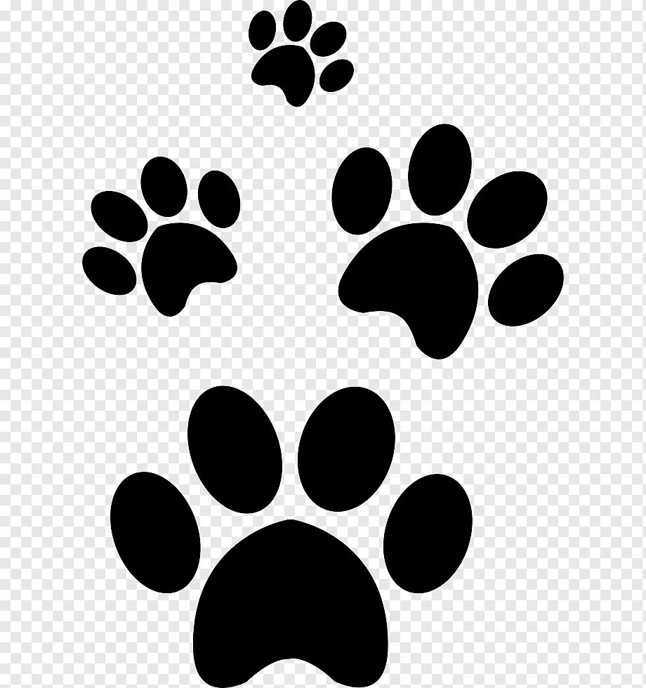 Pet paw. След кошачьей лапы. Лапки рисунок. Отпечаток кошачьей лапки. Лапка собаки.