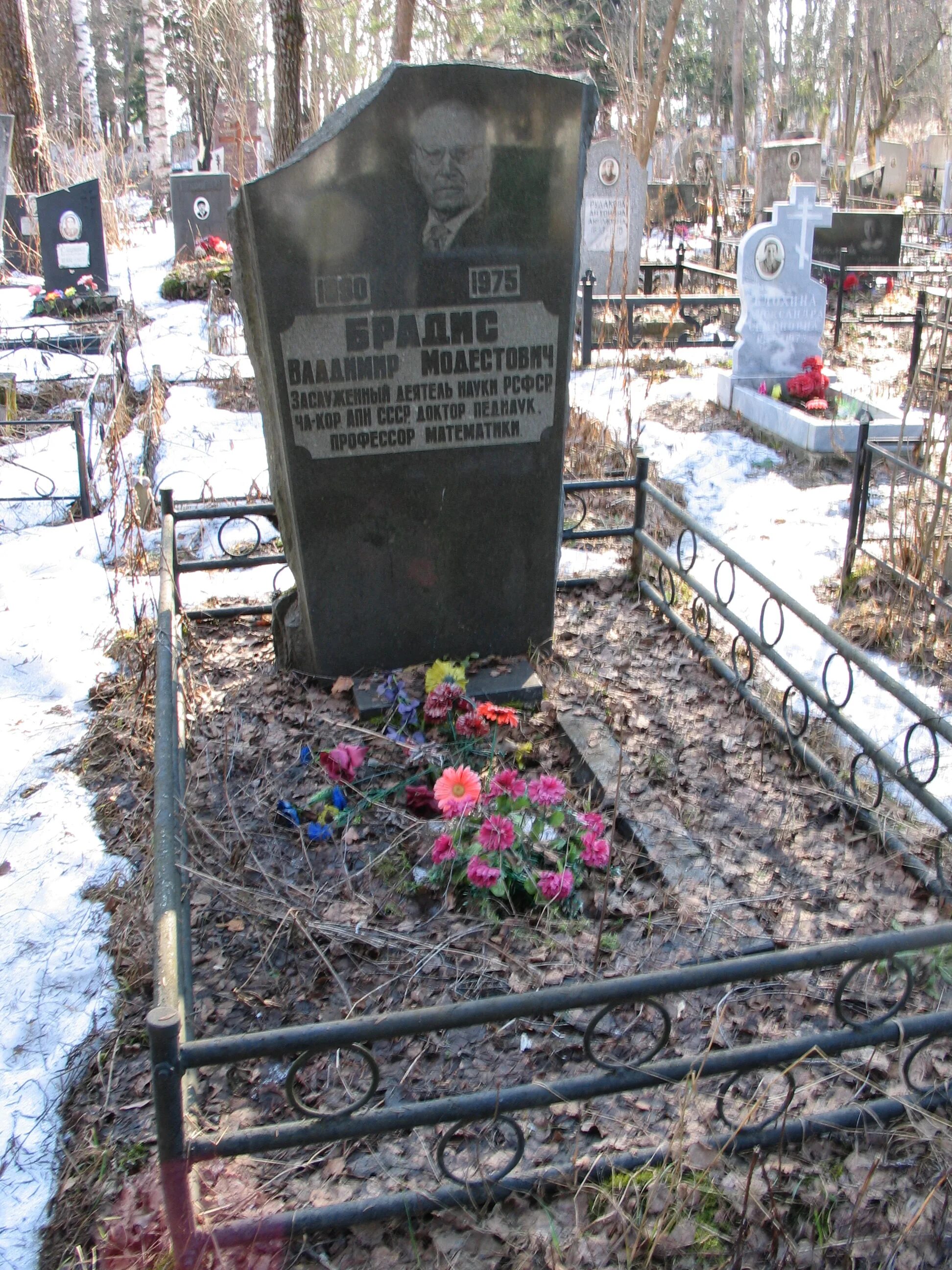 Памятник брадису. Памятник брадису