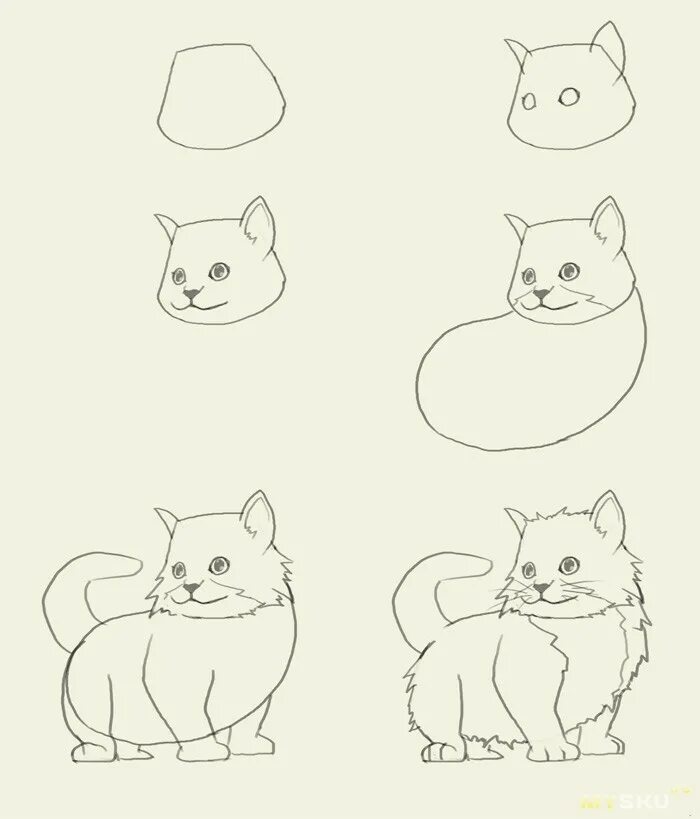 Как просто нарисовать кошку. Поэтапное рисование кота. Котики для рисования для начинающих. Рисунок кошки поэтапно. Лёгкие рисунки кошек.
