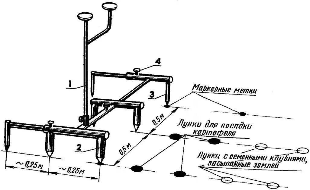 На каком расстоянии сажать картошку друг. Маркер для посадки картофеля под мотоблок своими руками. Приспособа для посадки картофеля чертеж. Маркер для посадки картофеля Размеры. Приспособление для посадки картошки своими руками чертежи.
