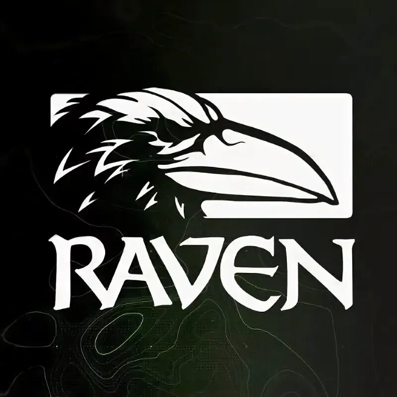 Raven software. Raven software