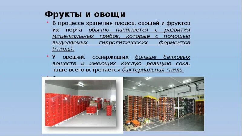 Почему в процессе хранения. Требования к хранилищам плодов и овощей. организация хранения обработанного сырья,. организация размещения хранения обработки это. блюда и изделия повышенного эпидемиологического внимания.