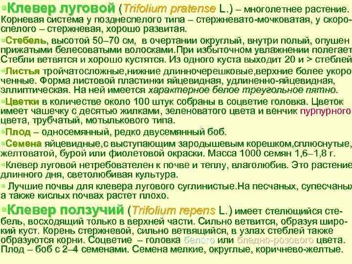 Черты различия клевера ползучего и клевера. Тип корневой системы у клевера Лугового и клевера ползучего. Клевер ползучий Тип корневой системы. Клевер Луговой Тип корневой системы таблица. Клевер Луговой Тип корневой системы.