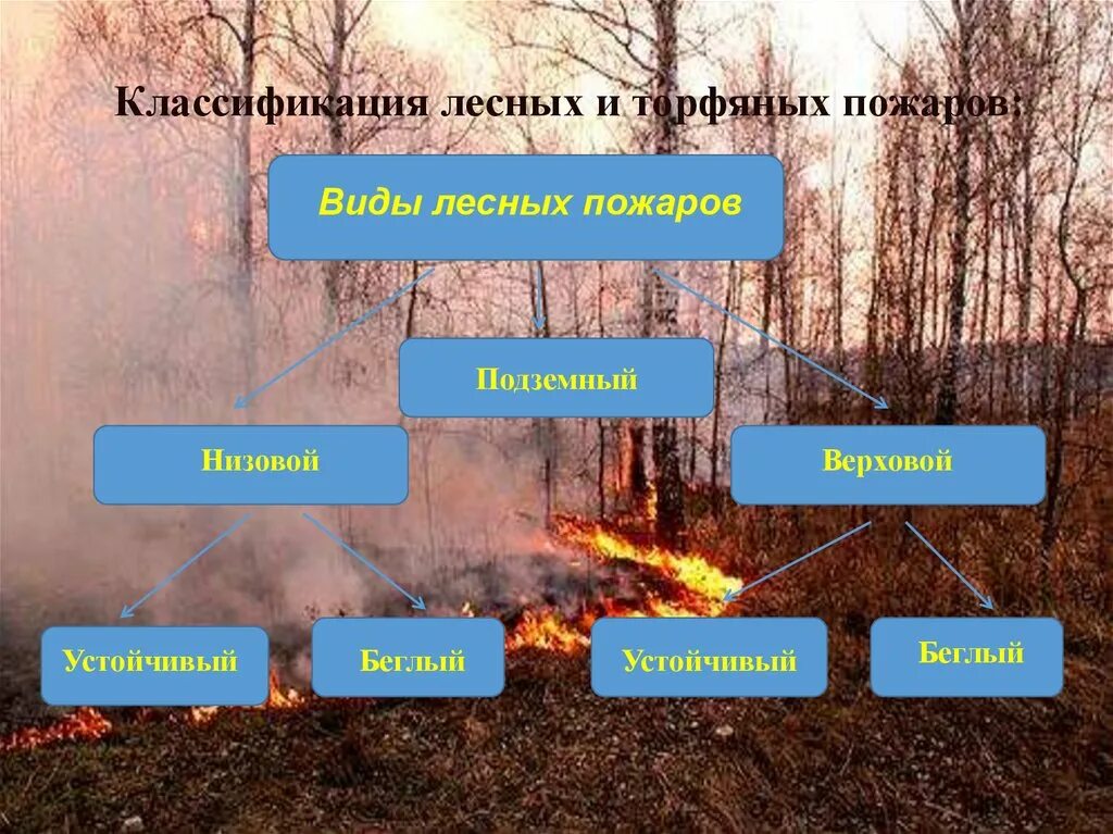Природные пожары кратко. Виды лесных пожаров. Классификация природных пожаров. Лесные и торфяные пожары. Виды лесных и торфяных пожаров.