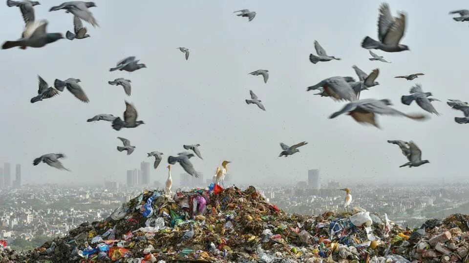 Свалка Deonar, Мумбаи, Индия. Landfill site. Landfill Aerial. City landfill.